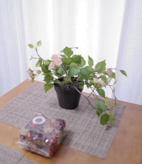 Setagaya Apartamento | City Pal Sakurashinmachi - Vacation STAY 17753