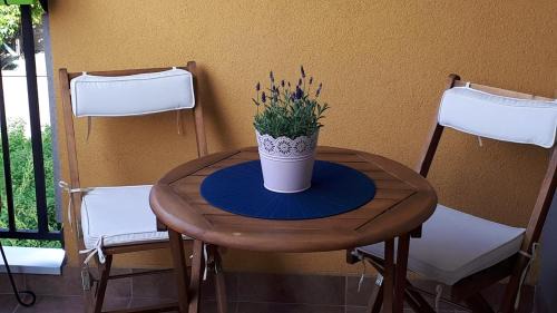 Cacak Apartamento | City Park Apartment