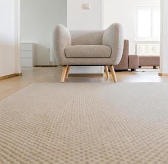 Lochau Apartamento | City, See, Ruhe - Bodensee Apartment