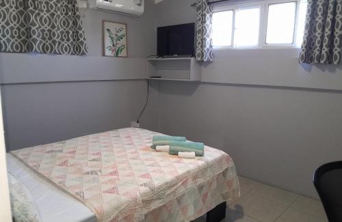Roseau Apartamento | City View