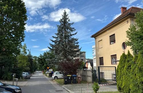 Bezigrad District Casa | Citybase Rooms