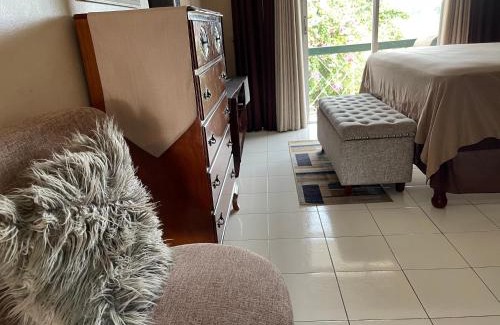 New Kingston Apartamento | Cityscape at Chelsea Manor/New Kingston Studio!