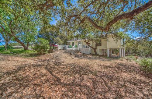 Canyon Lake Casa | CL 2459 Yellow Rose