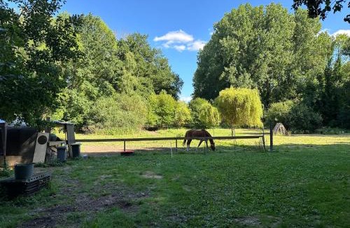 Luzarches Otro | Clairière de 3000m2 en pleine forêt