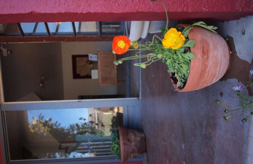 Clarkdale Apartamento | Clarkdale Lodge 206 - Mediados de siglo moderno