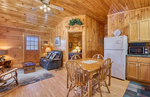 Waynesville Cabina | Classic lake cabin with WiFi, deck, kitchen, partial AC - dogs OK