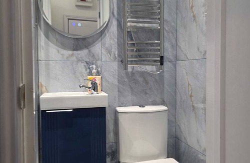 Hackney Downs Apartamento | Estudio-Clásico-Baño privado con ducha-Vista a la Ciudad