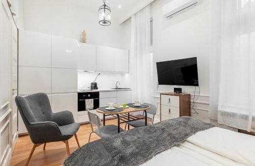 Nepszinhaz negyed Apartamento | Classical mini studio with a modern touch!