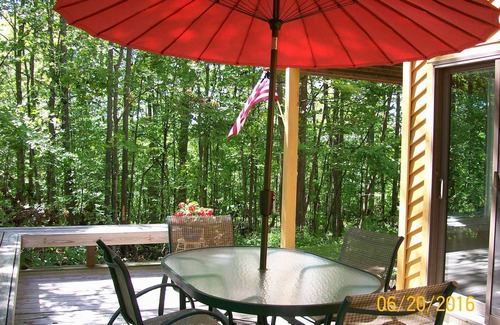 Harbor Springs Condominio | Clean and Cozy, Beautiful, well kept Trout Creek Condominium