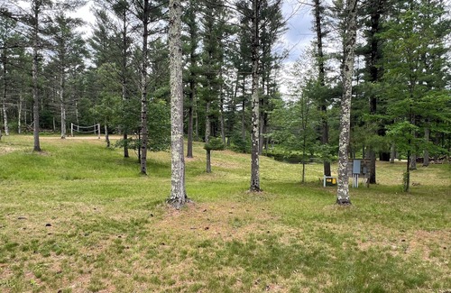 Black River Falls Cabina | Clear Creek Cabin- 10 acres of privacy, Pond, Creek, Pet Friendly
