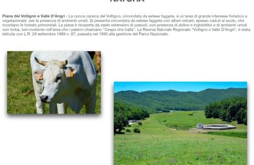 Carpineto della Nora Cama Y Desayuno | Clementina B&B