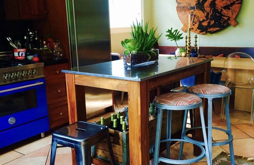 North and East Casa | Clinton Hill ArtHouse - art gallery and wild cactus haven
