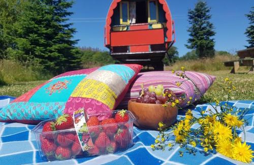Rathdrum Otro | Clissmann Horse Caravans Glamping
