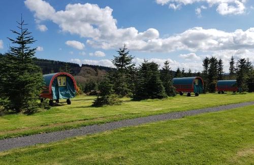 Rathdrum Otro | Clissmann Horse Caravans Glamping