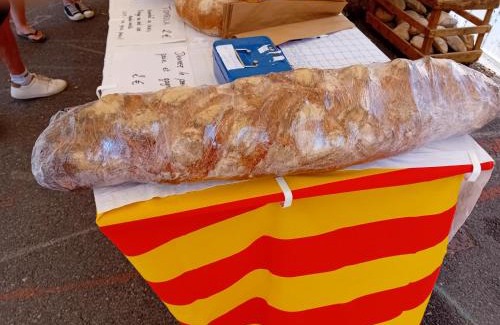 Galan Casa | Clos A Malypense chez Mr Montamat