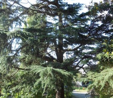 Bagneux Cama Y Desayuno | Clos du Bois Brard B&B