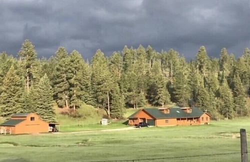 Hill City Casa | Close to Deerfield Lake,Hiking,UTV,Gameroom,Hot tub,Mini Donkey,Goats & Chickens