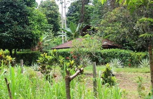 Cahuita Cabina | Close to the beach! Cabina C 1 for up to 5 people. Fully equipped kitchen!