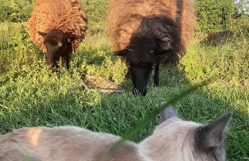 Mielan Cabaña | Bienvenido a Gite Du Beau Ciel