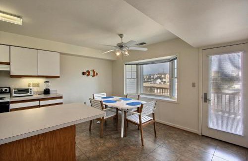 Buxton Casa | Clownfish & Cobia