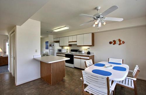 Buxton Casa | Clownfish & Cobia