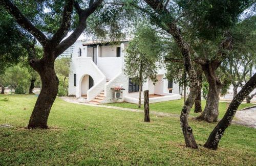 Calas de Mallorca Apartamento | Club Cala Domingos