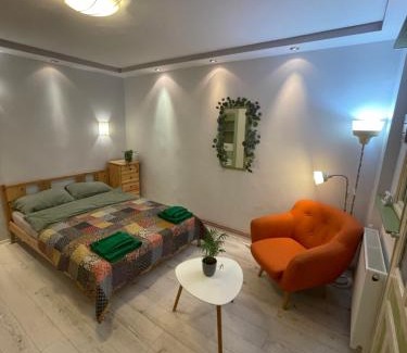 Cluj-Napoca Apartamento | Cluj City Marasti Studio Andromeda