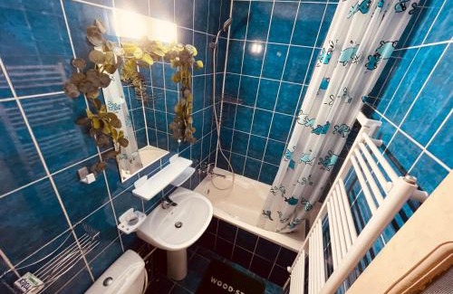 Cluj-Napoca Apartamento | Cluj City Marasti Studio Andromeda
