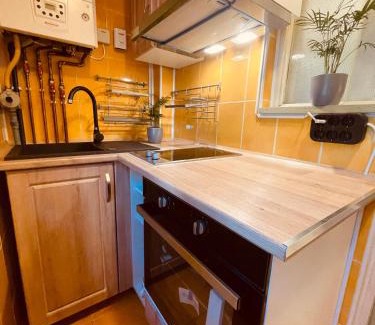 Cluj-Napoca Apartamento | Cluj City Marasti Studio Andromeda
