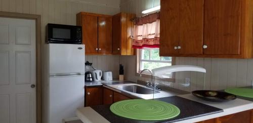 Saint John Parish Apartamento | CNP Apartments