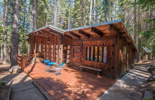 Dorrington Cabina | Coach House-A Unique Getaway Tucked in the Trees