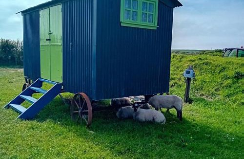 St Ishmaels Otro | Coast path camping