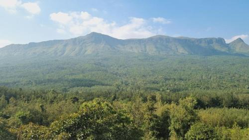 Honavar Casa | Coasta Homestay