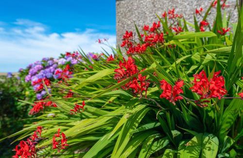St Ishmaels Casa | Coastal Bungalow Near Marloes with Log Burner and Garden