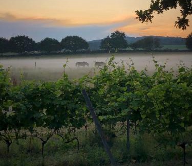 Nyhamnslage Otro | Coasters Hideaway boutique Glamping
