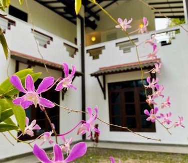 Polhena Casa | Coco Inn Polhena