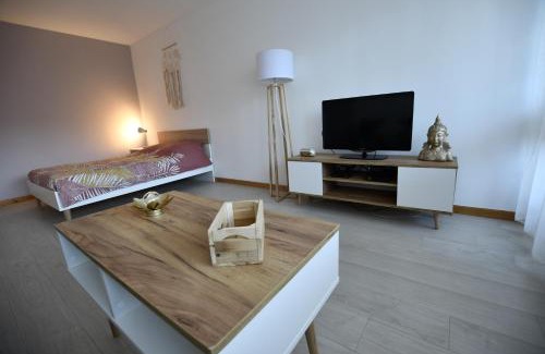 Novel Apartamento | Cocon & Cosy Annecy