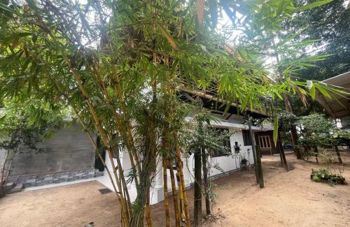 Kuzhuppilly Casa | Coconut Garden
