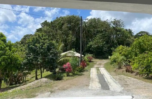 Vieux Fort Apartamento | Coconut Retreat