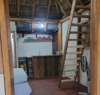 El Gigante Apartamento | Coconut Surf