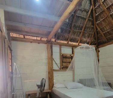 El Gigante Apartamento | Coconut Surf