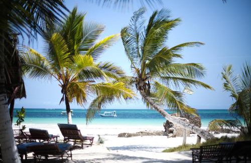 Galu Beach Apartamento | Coconut Village Beach Resort
