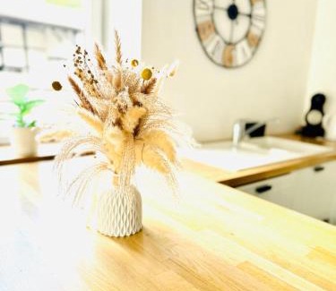 Coo Casa | Cocoon