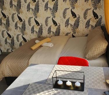 Mulhouse Apartamento | CocooningSpace tout équipé + parking privé