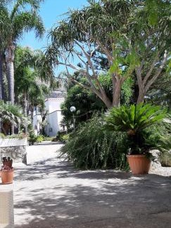 Forio Cama Y Desayuno | Cocos Park Ischia