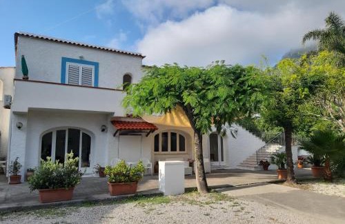 Forio Cama Y Desayuno | Cocos Park Ischia