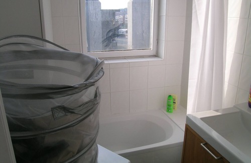 Altitude 100 Cama Y Desayuno | Coghen Bed & Breakfast