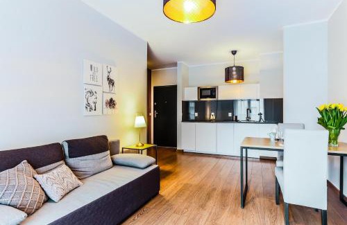 Stare Miasto Apartamento | COIN Apartamenty