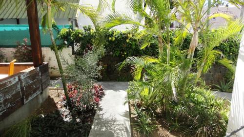 Trou d'Eau Douce Cama Y Desayuno | Colibri Beach Villas