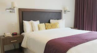 North Beach Hotel | Collins Hotel
